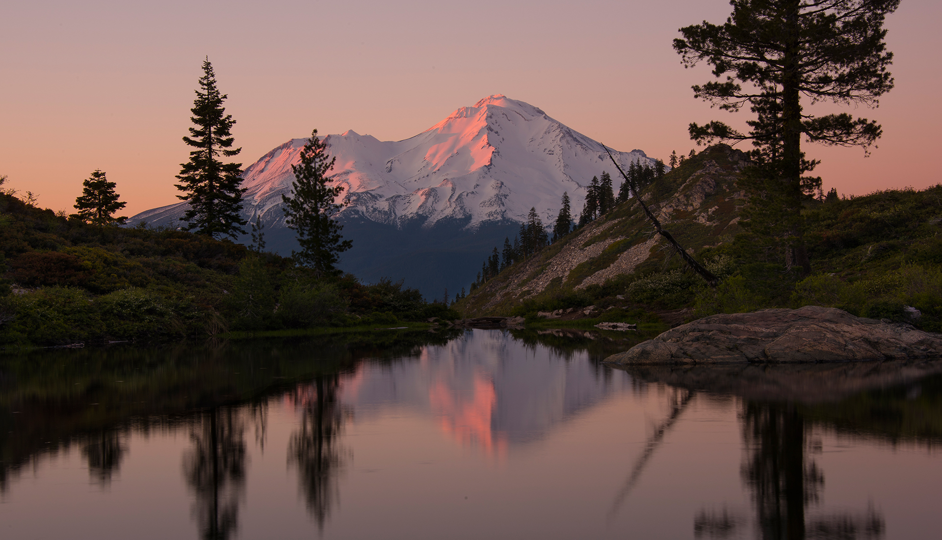 Shasta Critical Care