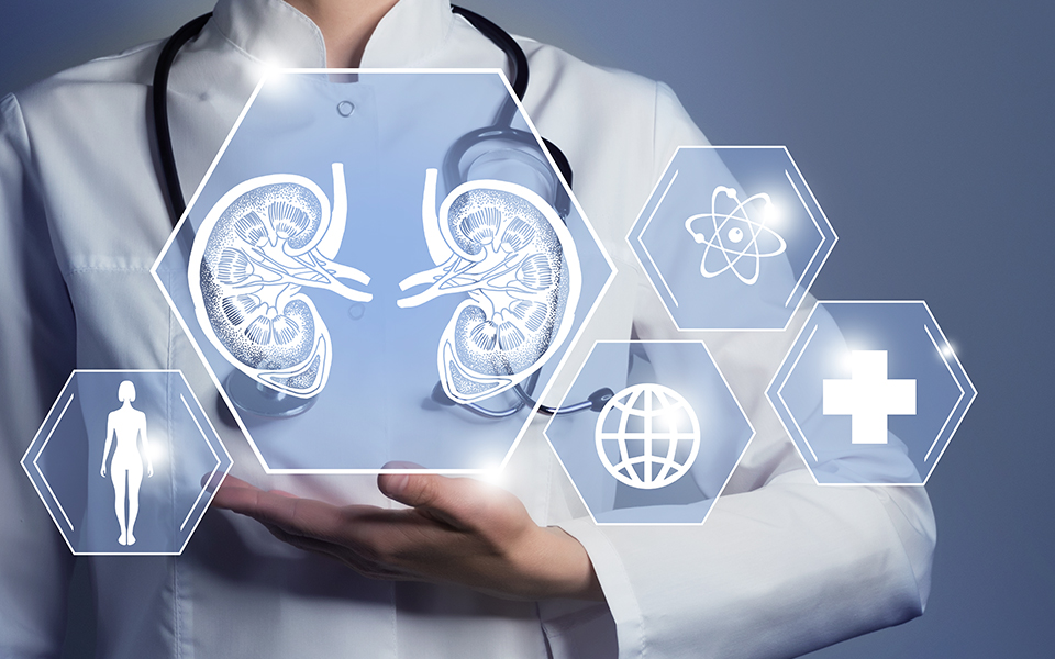 Nephrology In Redding